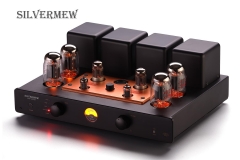 SILVERMEW_AMP-MT0101_1