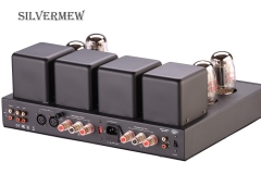 SILVERMEW_AMP-MT0101_2